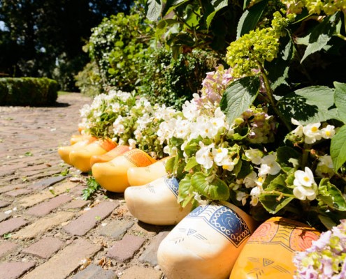 de-hoestinkhof-hotel-pension-engels-theehuis-erf-markelo-MVDK_20150630_0138